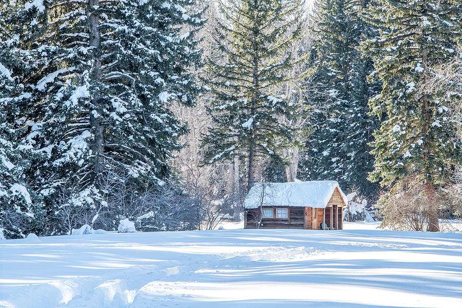 Cozy Cabin at Murie Ranch, Grand Tetons Photograph by Marcy Wielfaert