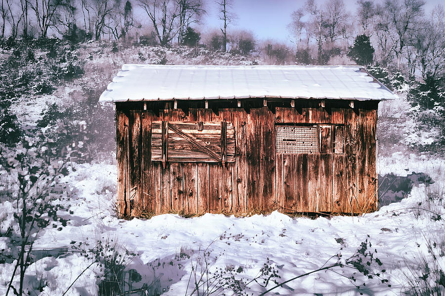 Cozy Little Shed Photograph by Jim Love