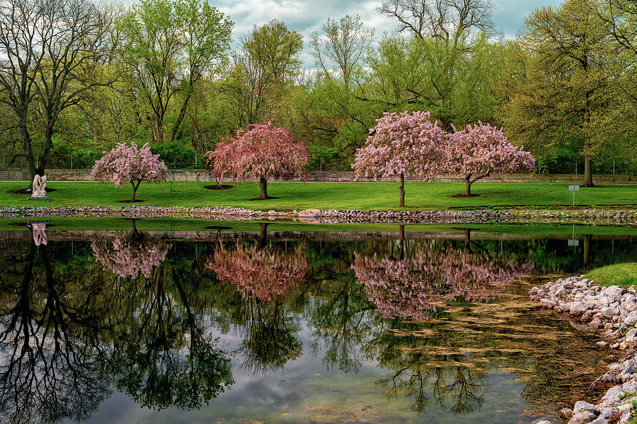 Crab Apple Trees Schedel Photograph by Jamison Moosman - Fine Art America