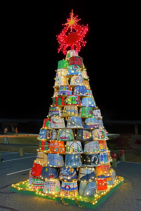 Crab Basket Christmas Tree with Lights Photograph by Bill Swartwout