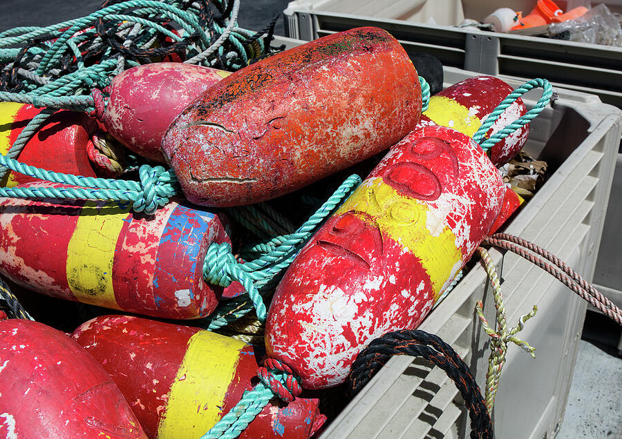Crab Buoys at Arena Cove Photograph by Kathleen Bishop