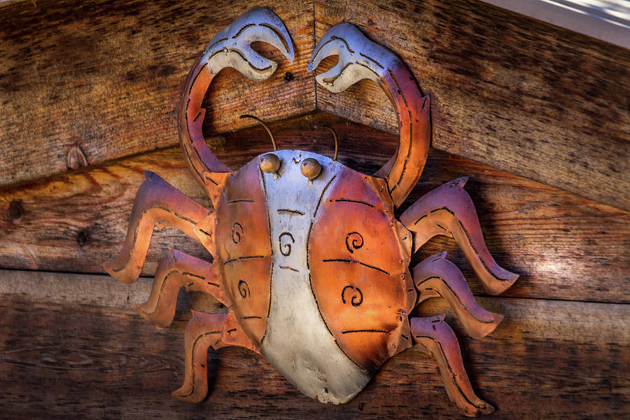 Crab Photograph by David Wagenblatt