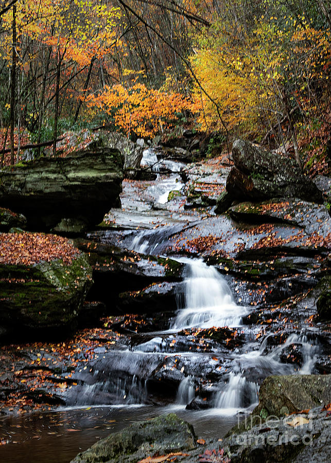 Crab Orchard Falls in Fall Photograph by William Neagle - Fine Art America