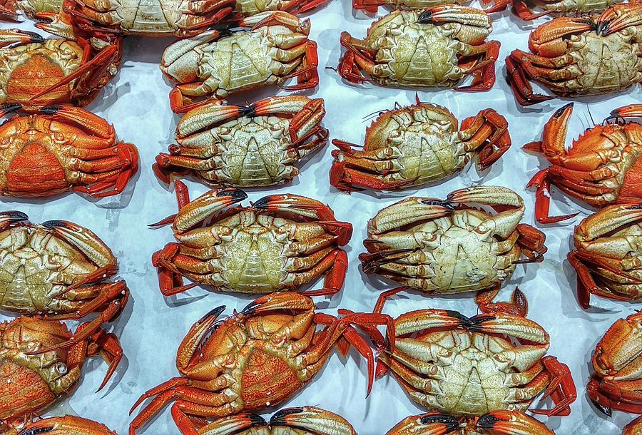 Crab Party Photograph by FRANK Designs - Fine Art America