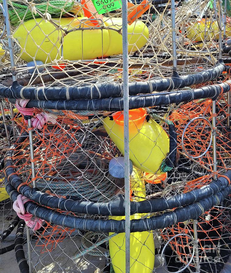 Crab Pots 3 Photograph by Norma Appleton