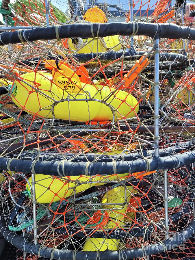 Crab Pots 4 Photograph by Norma Appleton