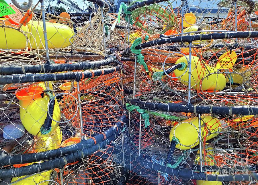 Crab Pots 5 Photograph by Norma Appleton