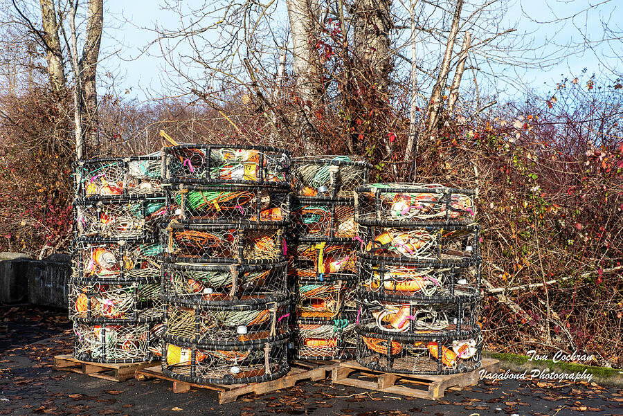 Crab Pots at Blaine Boat Launch Photograph by Tom Cochran