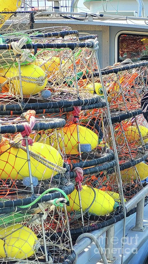 Crab Pots Photograph by Norma Appleton