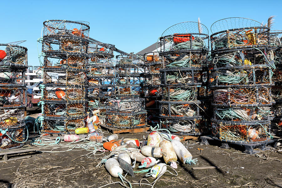 Crab Pots Stacked Idle at Bodega Bay  Photograph by Kathleen Bishop