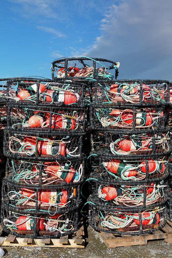 Crab Pots with Orange Fishing Floats at Bodega Bay  Photograph by Kathleen Bishop