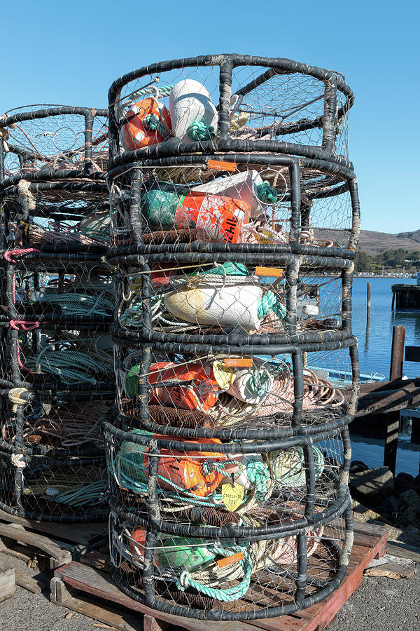 Crab Traps with Fishing Floats on the Pier at Bodega Bay  Photograph by Kathleen Bishop