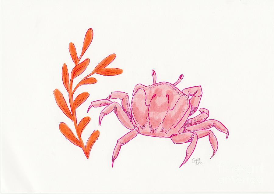 Crab with Coral Drawing by Cami Lee