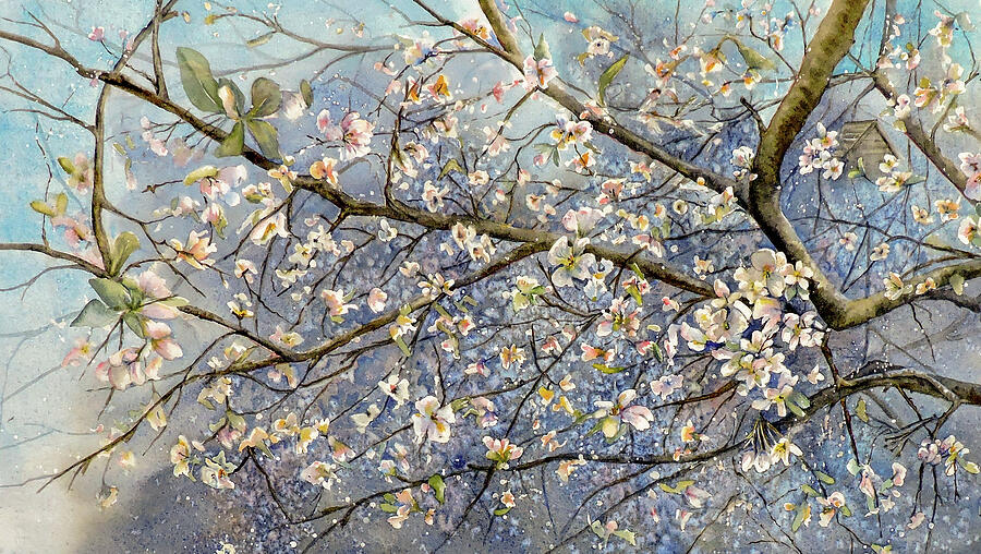 Flower Painting - Crabapple Blossoms by Vicky Lilla