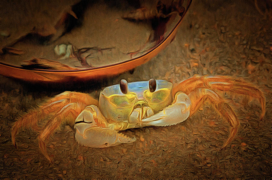 Crabby Crab Digital Art by Melinda Dreyer