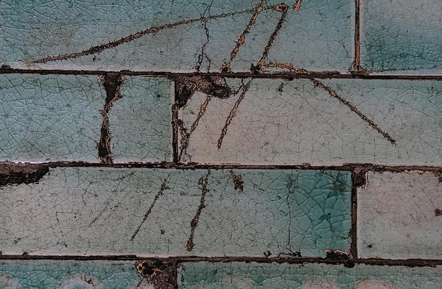 Cracked And Scratched Photograph
