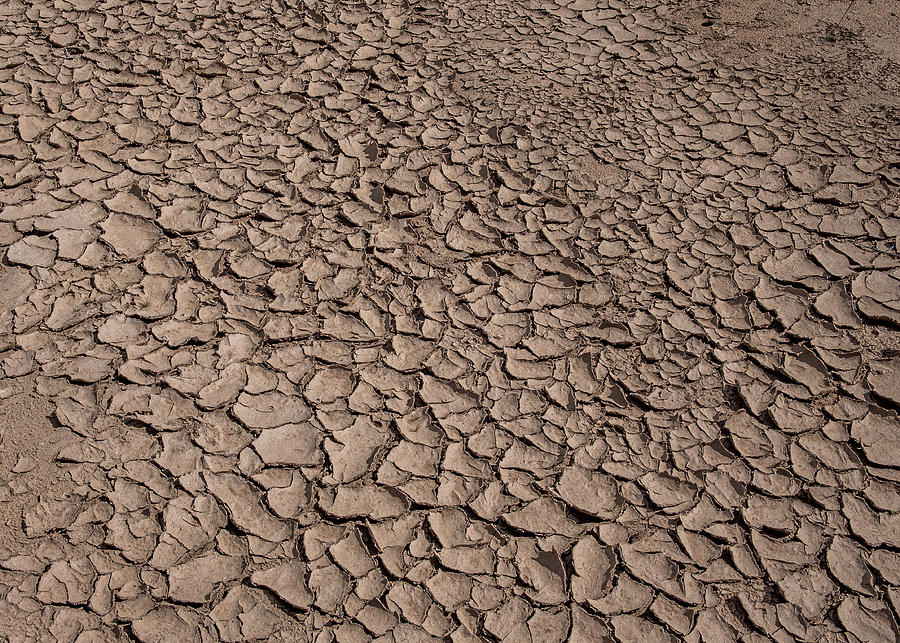 Cracked desert ground Photograph by Alessandra RC