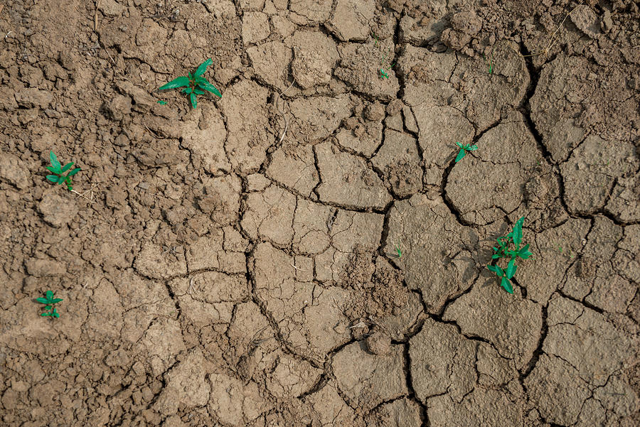 Cracked Dried Dirt Photograph by Guntaphat Pokasasipun