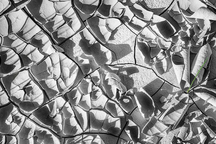 Cracked Earth Abstract II Photograph by Joan Carroll