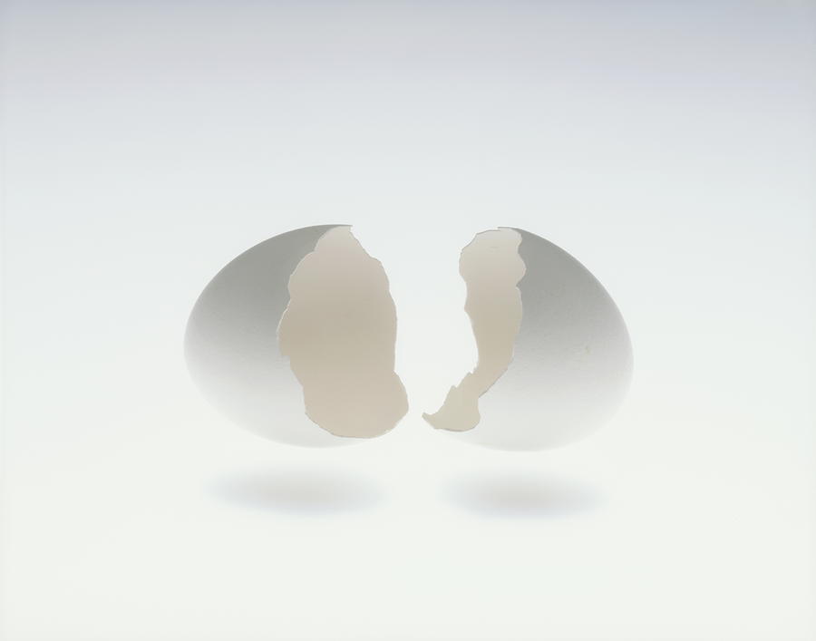 Cracked egg, white background Photograph by amanaimagesRF