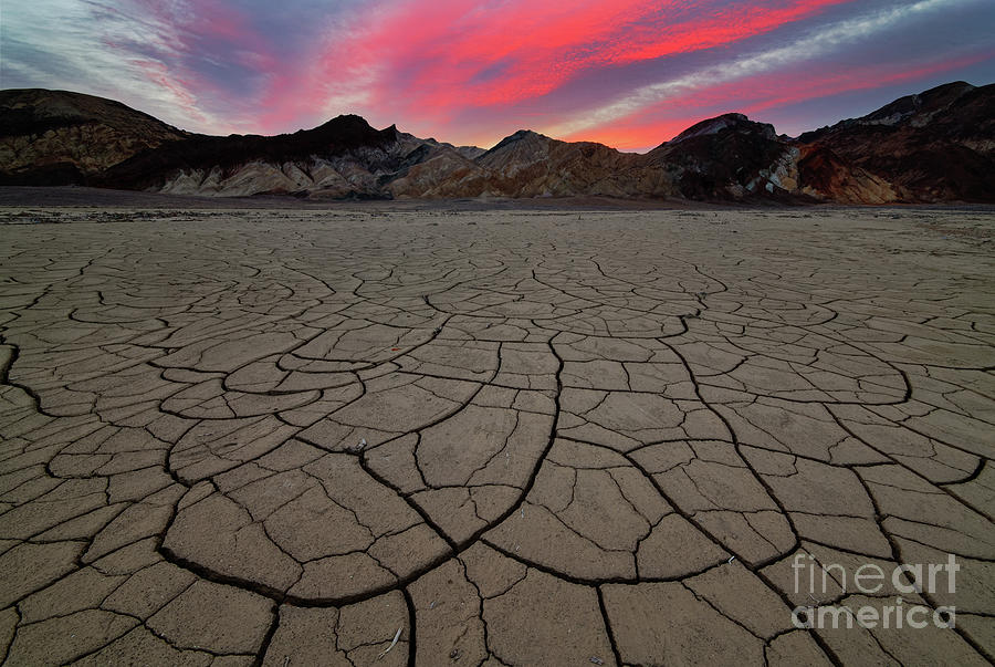 Cracked Mud at Sunrise near Furnace Creek in Death Valley Photograph by Tom Schwabel