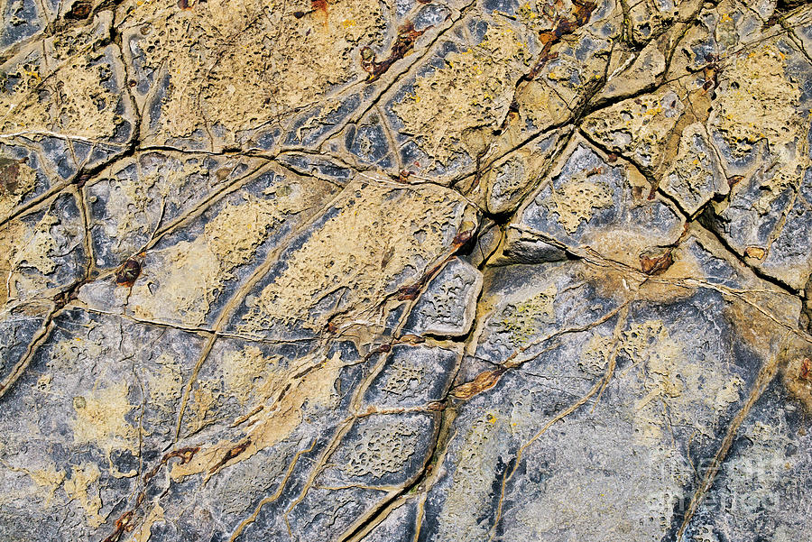 Cracked Rock Photograph by Tim Gainey