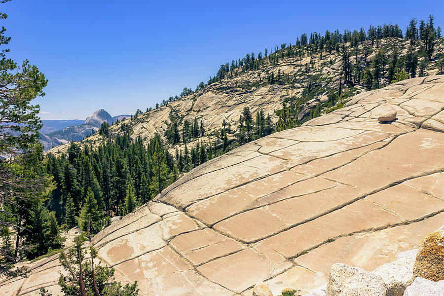 Cracked Slope Half Dome Background Photograph by David Fountain
