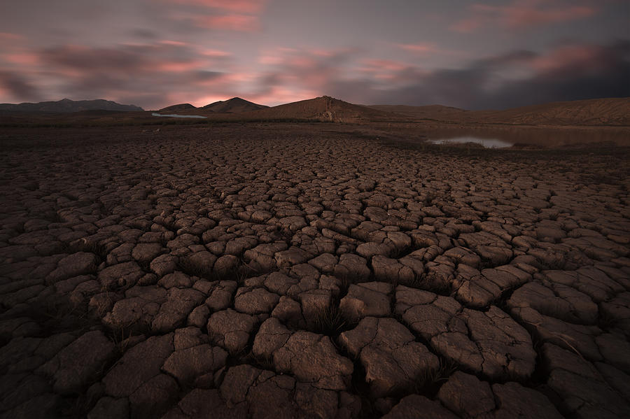 Cracked soil landscape Photograph by Khoroshkov
