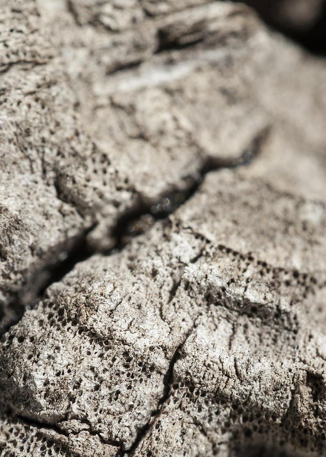  Cracks #1 Photograph by Al Fio Bonina