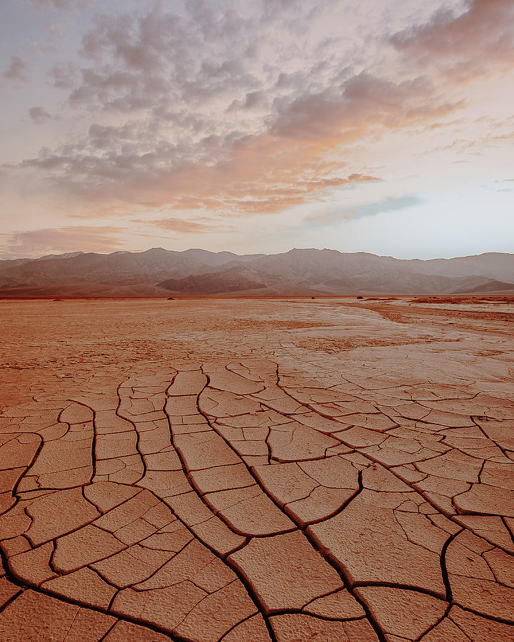 Cracks In The Desert Photograph by William Kennedy