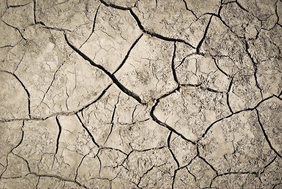 Cracks on parched earth at bottom of dried-up lake Photograph by Alexandrum79