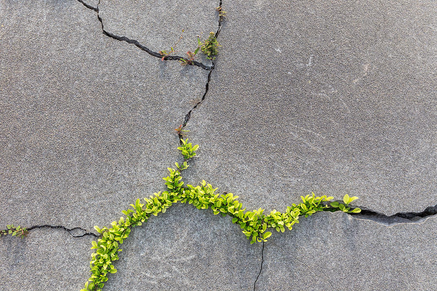 Cracks Photograph by Photo by Hanneke Luijting
