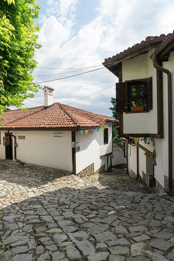 Craft Street in Old Town Plovdiv in Bulgaria Photograph by Georgia Mizuleva