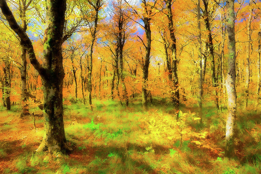Craggy Gardens Autumn in the Blue Ridge ap Painting by Dan Carmichael