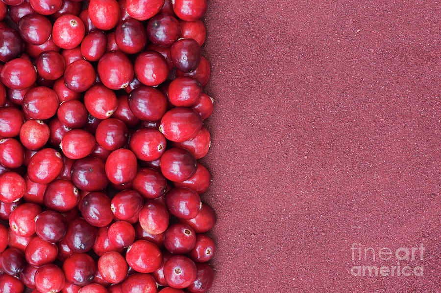 Cranberries and Cranberry Powder Pattern Photograph by Tim Gainey