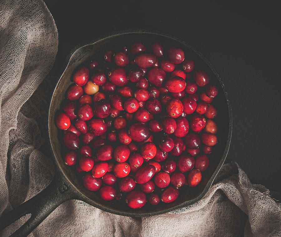 Cranberries Photograph by Lori Rowland