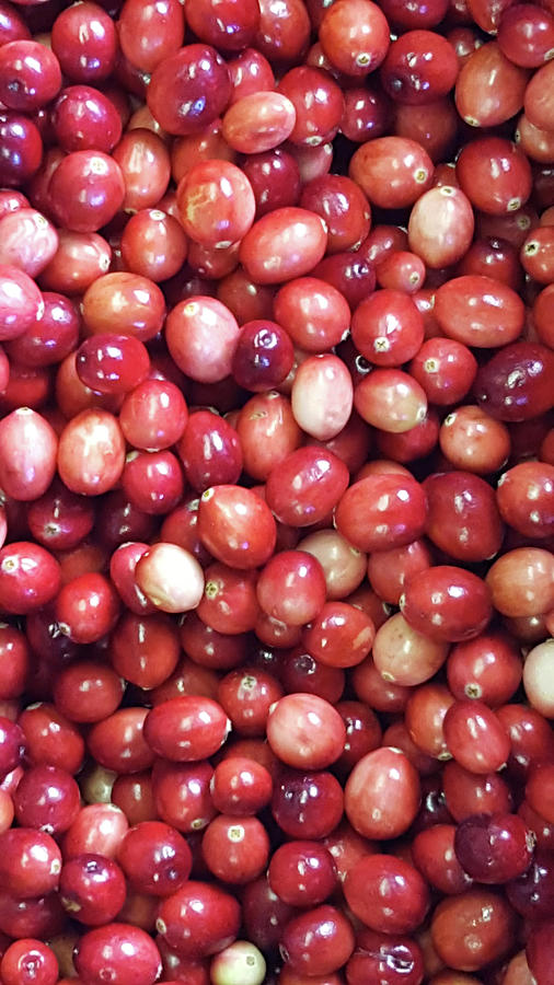 Cranberries Photograph by Trevor Slauenwhite Cranberries Photograph by Trevor Slauenwhite