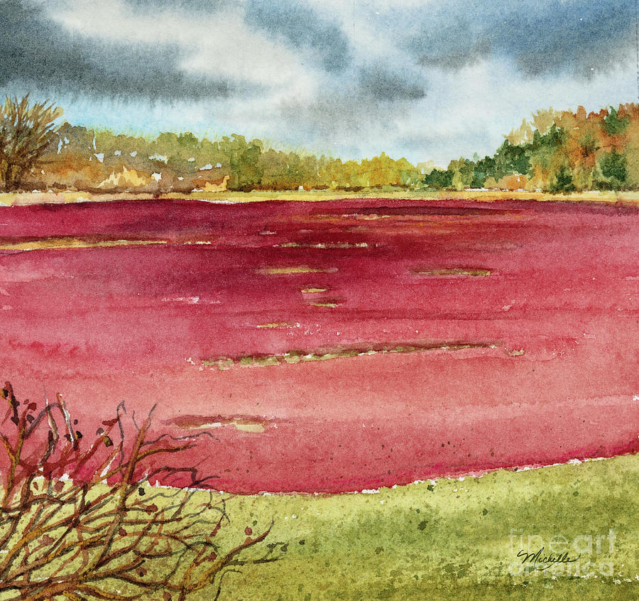 Cranberry Bog on Cape Cod Painting by Michelle Constantine