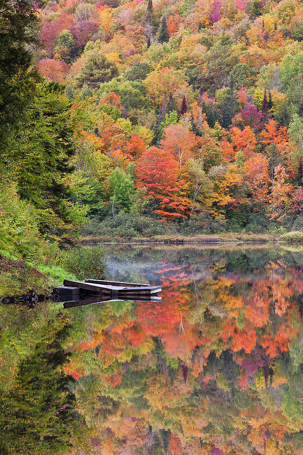 Cranberry Meadow Pond Fall 2 Photograph by Alan L Graham | Fine Art America