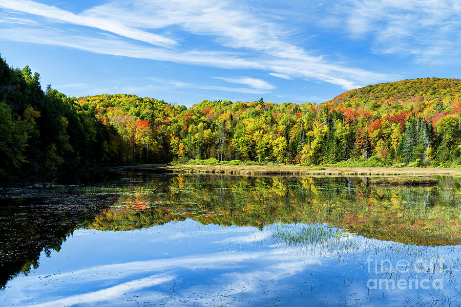 Cranberry Meadow Pond September Morning Photograph by Alan L Graham
