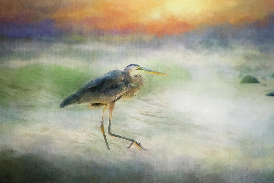 Heron at Sunset Digital Art by Terry Davis
