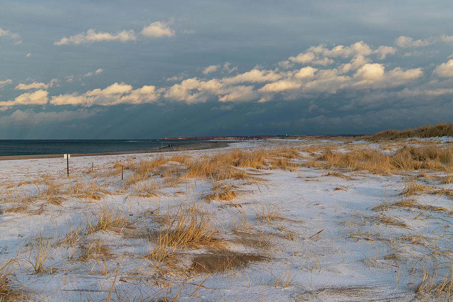 Crane Beach Ipswich MA in Winter 2 Photograph by Michael Saunders