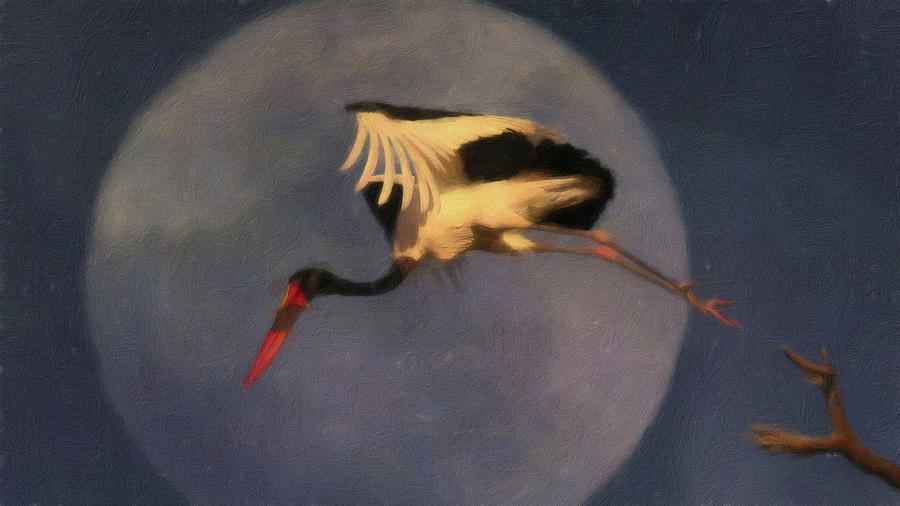 Crane in flight on a  Full Moon Digital Art by Russ Harris