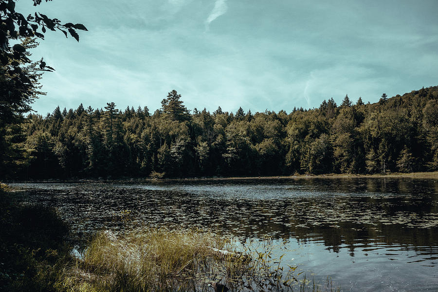 Crane Pond Photograph by Kyle Reynolds - Fine Art America