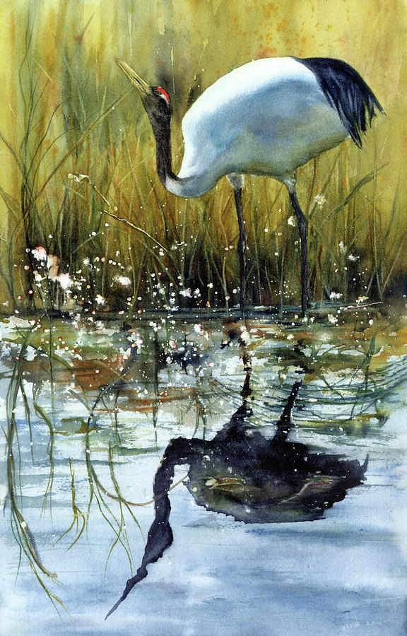 Crane Painting - Crane Shadow by Vicky Lilla