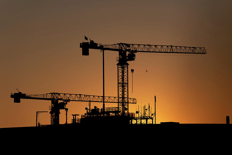 Cranes Silhouette Against Sunset Sky Photograph by Artur Bogacki