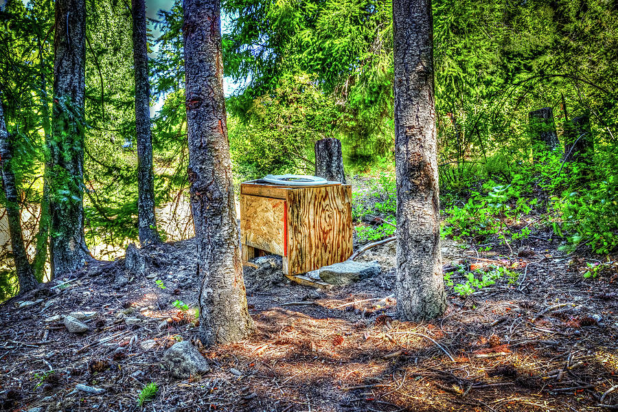 Crapper in the Woods Photograph by Spencer McDonald