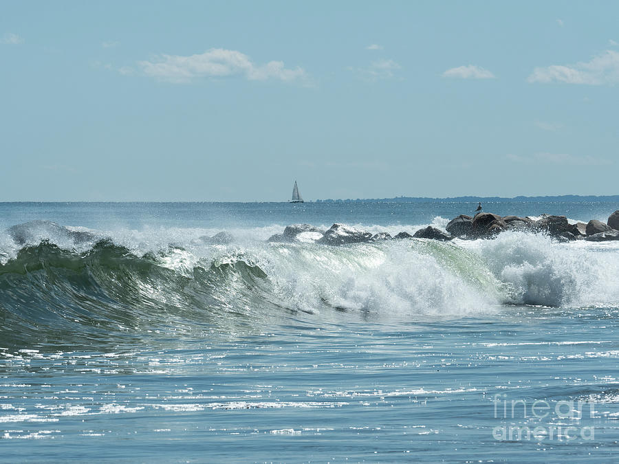 Bird Photograph - Crashing Wave at Chocomount Beach by Fishers Island Photography