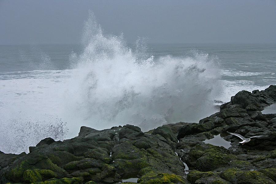 Crashing Wave Photograph by Beverly Read