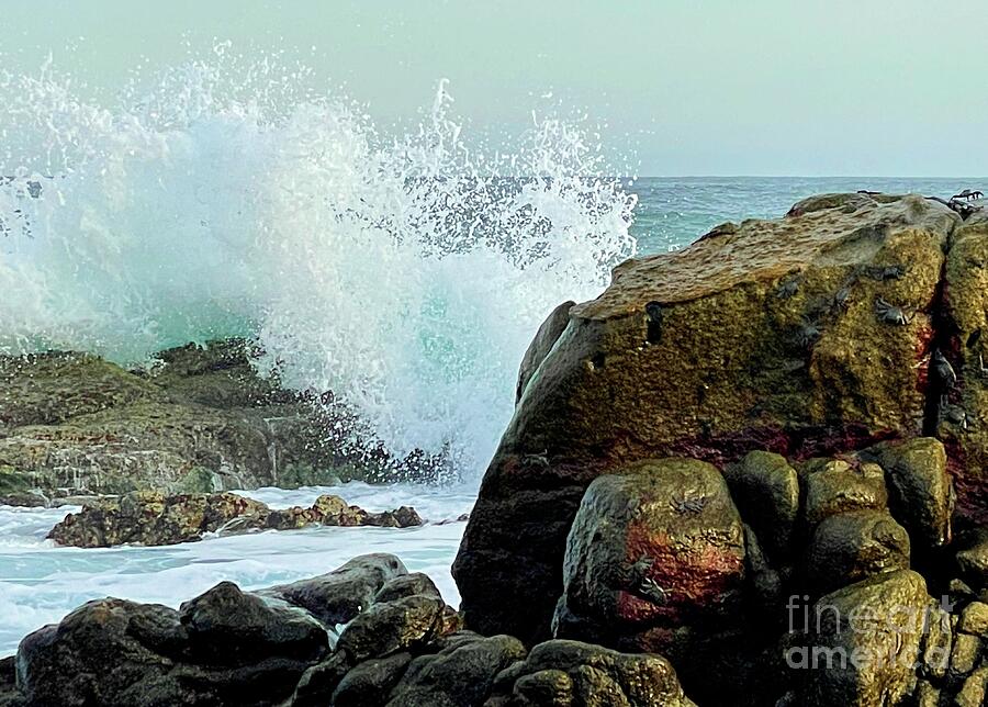 Crashing Wave With Crabs Photograph
